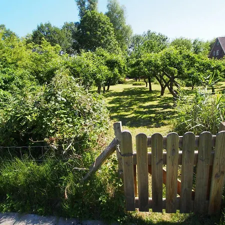 Haus Am Deich Ferienhaus *