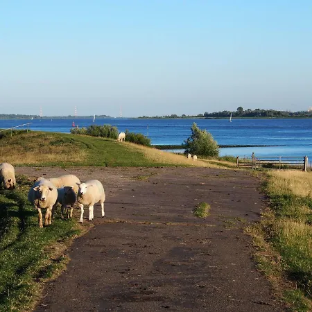 Haus Am Deich Kollmar