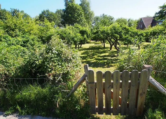 Haus Am Deich Hébergement de vacances *