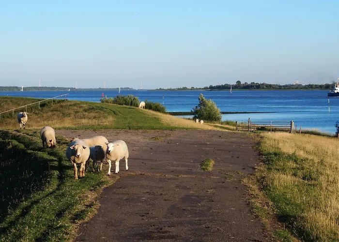 Haus Am Deich Kollmar